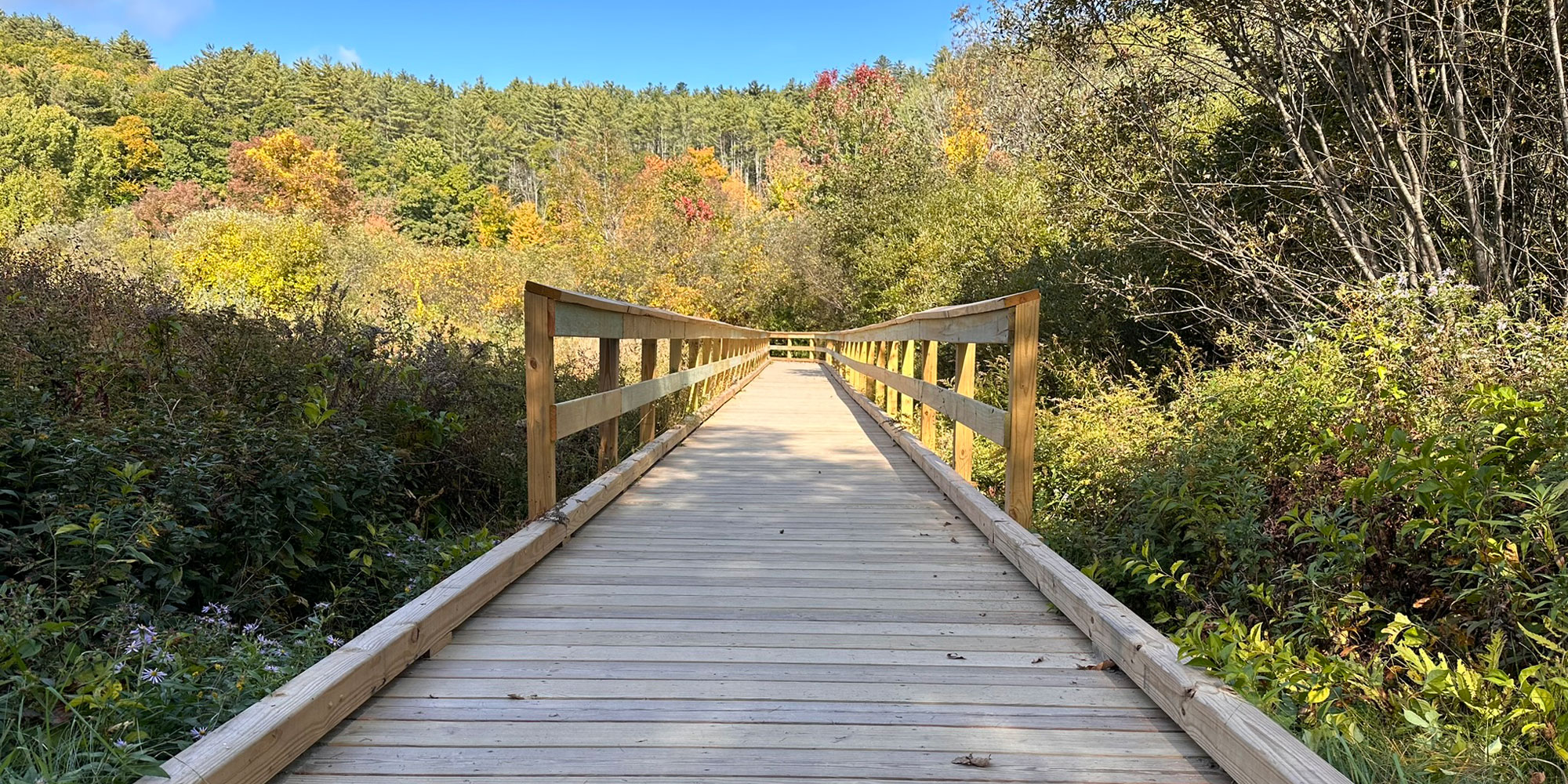 Marsh Boardwalk