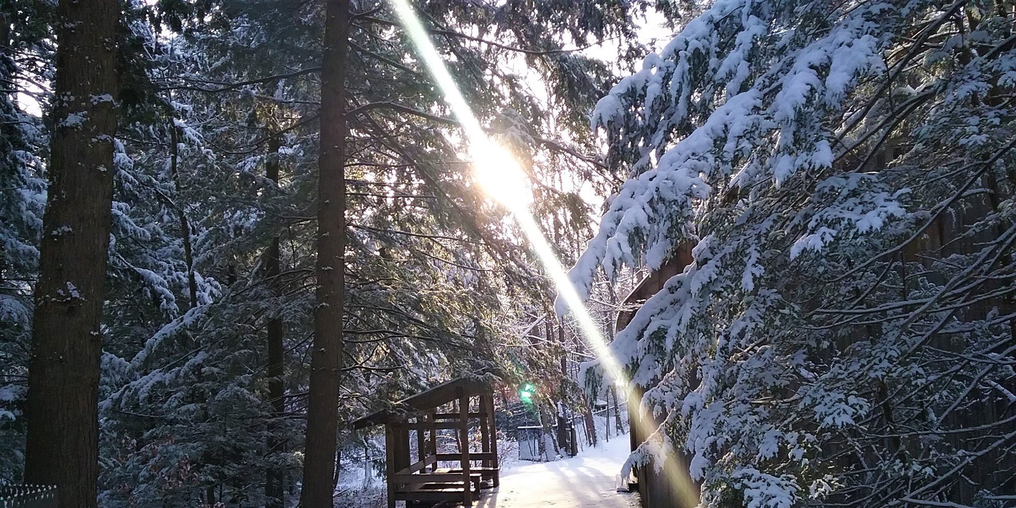 Snow covered trail looking towards the sun