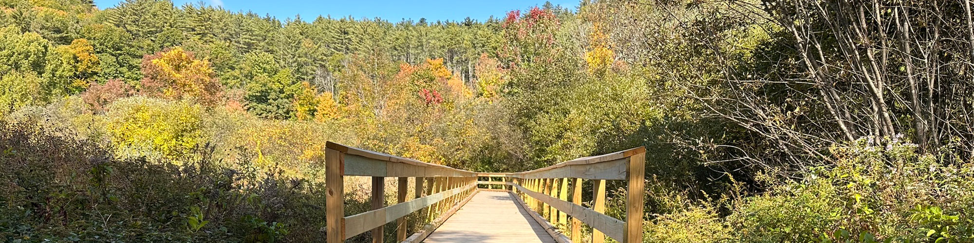 Boardwalk along right side of photo meandering along green grassy field with trees in the background.