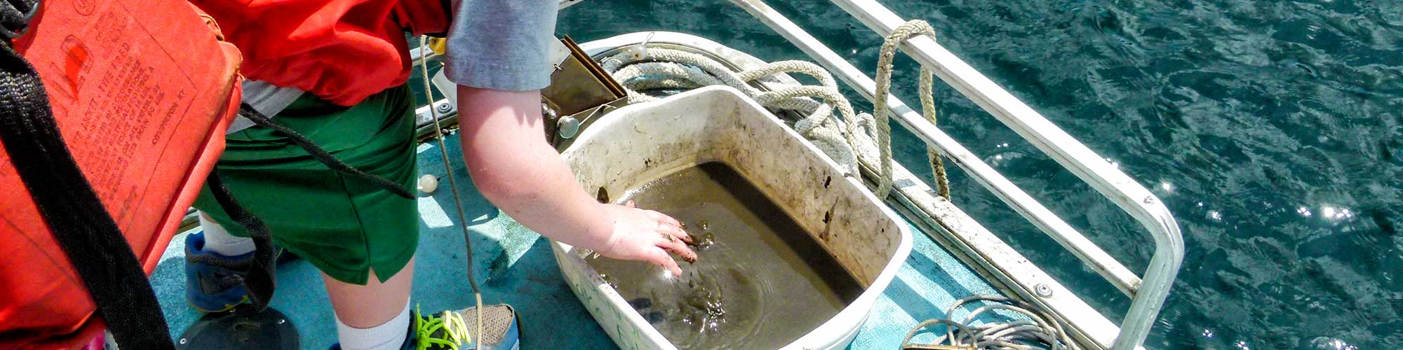 High school lake education program at the Science Center